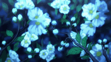 Ray's banner