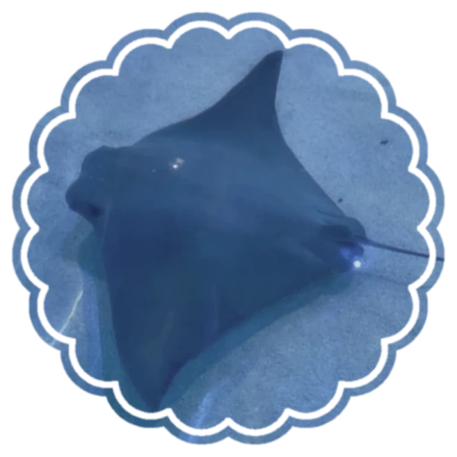 ⎈  ⋅   The Stingray System  ˒ ɞ's avatar