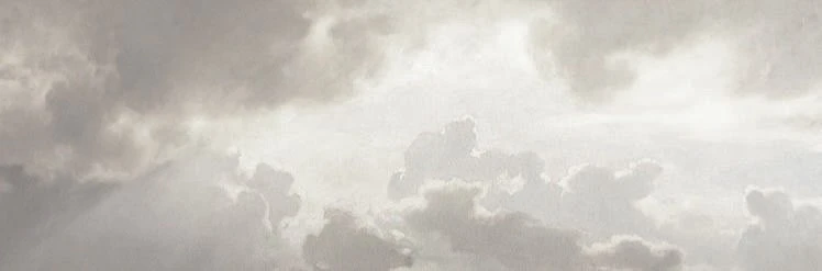 ✦   ┈   museum of idiots  ❜'s banner