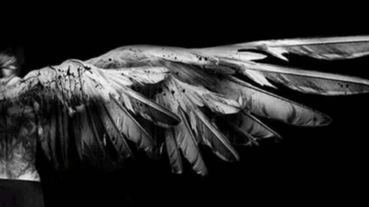 ✿    yongbok    𖹭    .    he they angel's banner