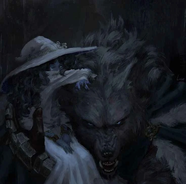 Ranni⭑ 🐬's banner