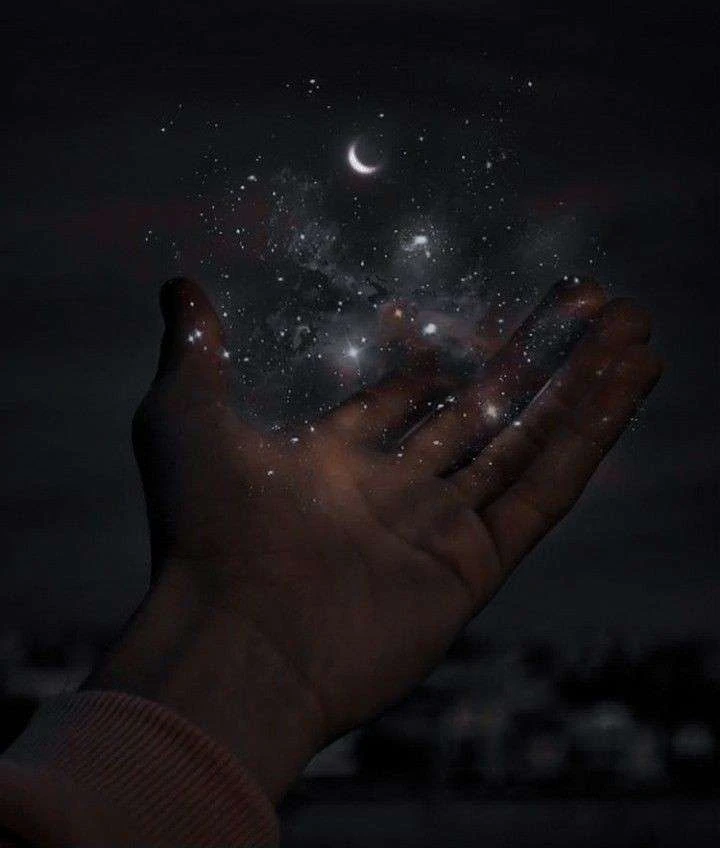 Amber⭑ 🦇's banner