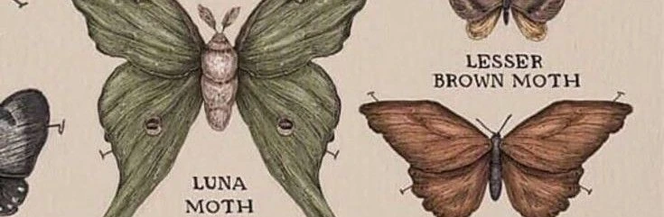 Mothman's banner