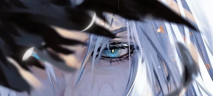 Sephiroth's banner