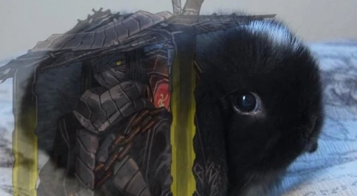 zilu's banner