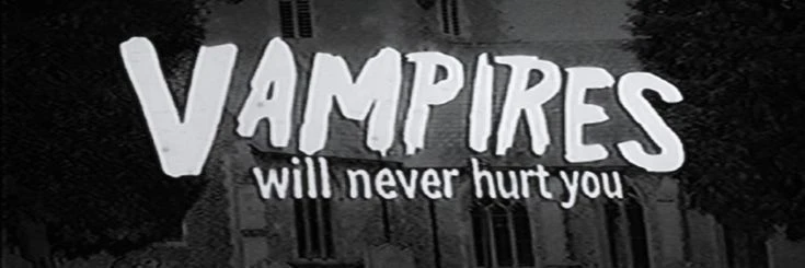Xavier banner