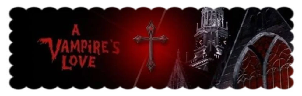 ﹙🧛  ; Lennon 𓋼 He.Him ✿₊'s banner