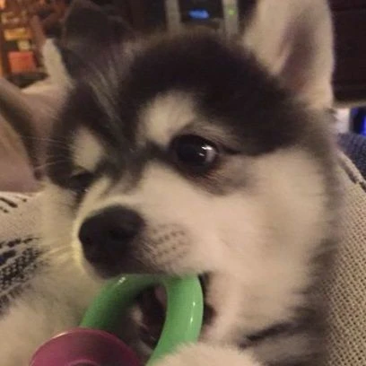 Regressed Lucien's avatar