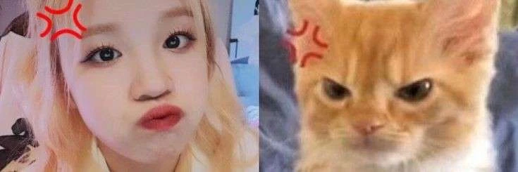 🐾 ◟  yuqi ☆   she hers   ◝'s banner