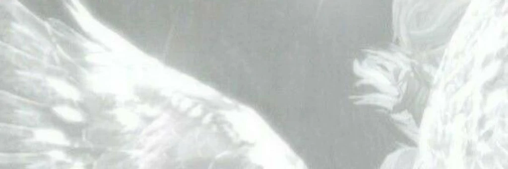 Angel's banner
