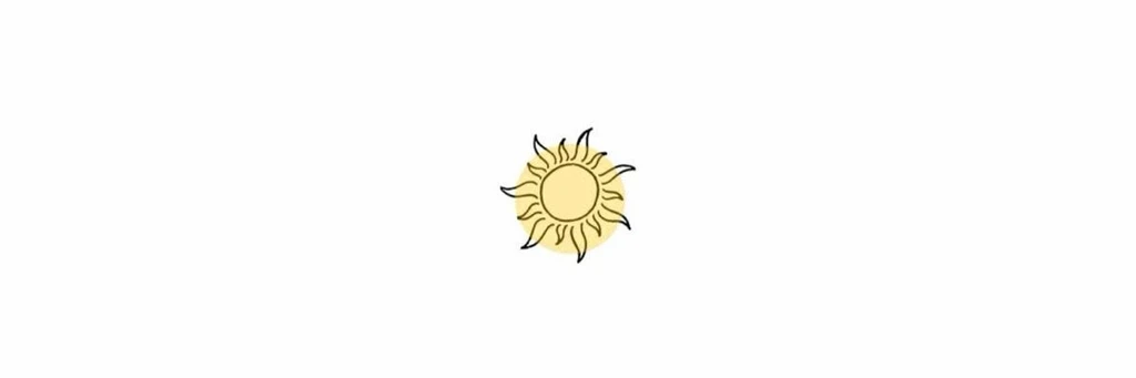 solinus banner