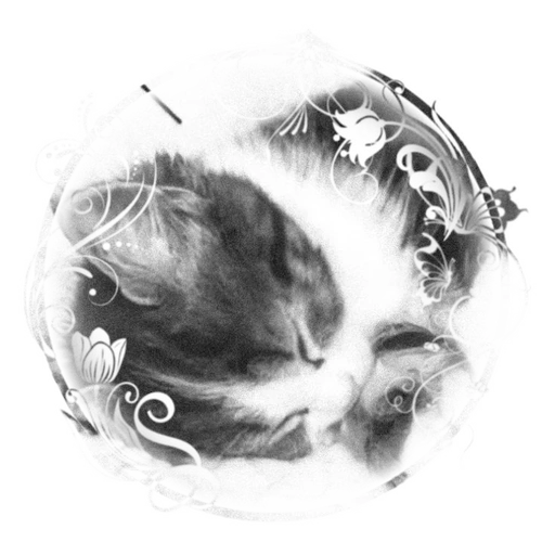 Sam's avatar