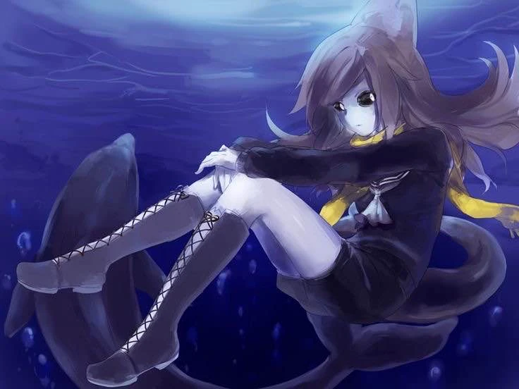 Dolphi's banner